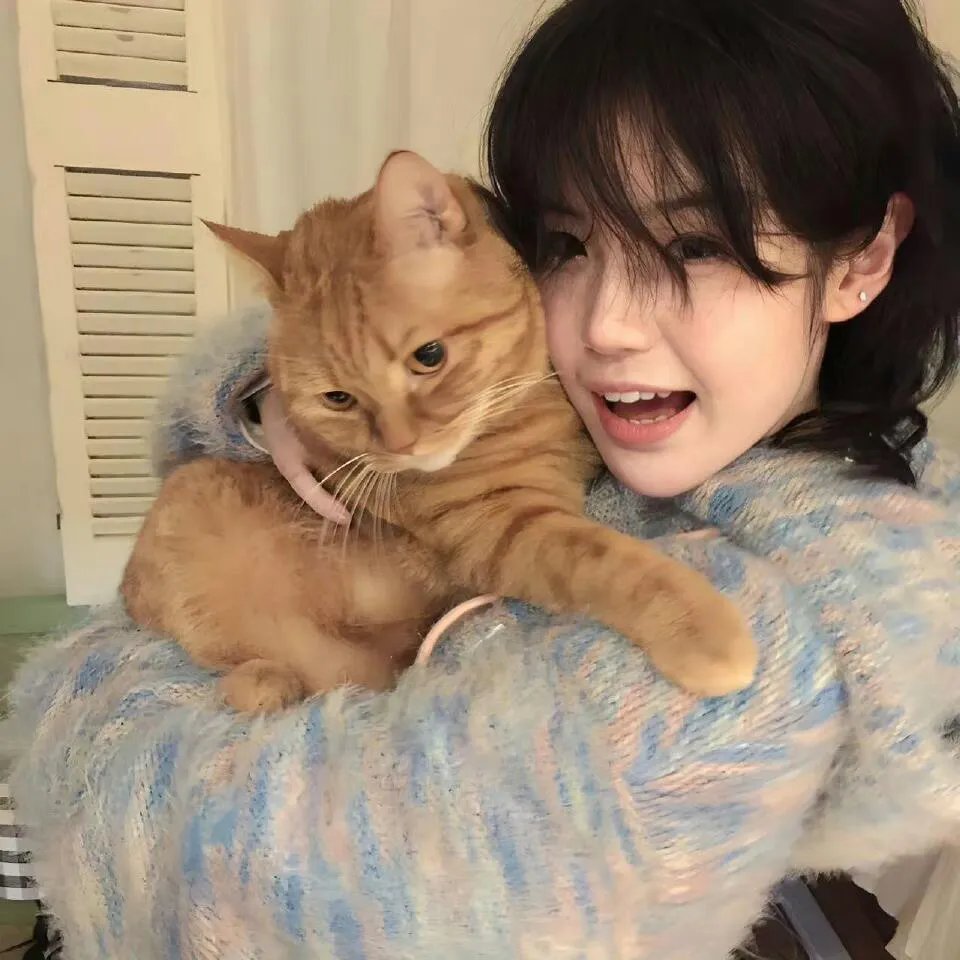 行尸之惧第五季